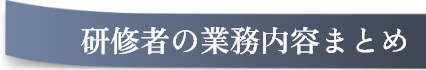 研修者の業務内容まとめ