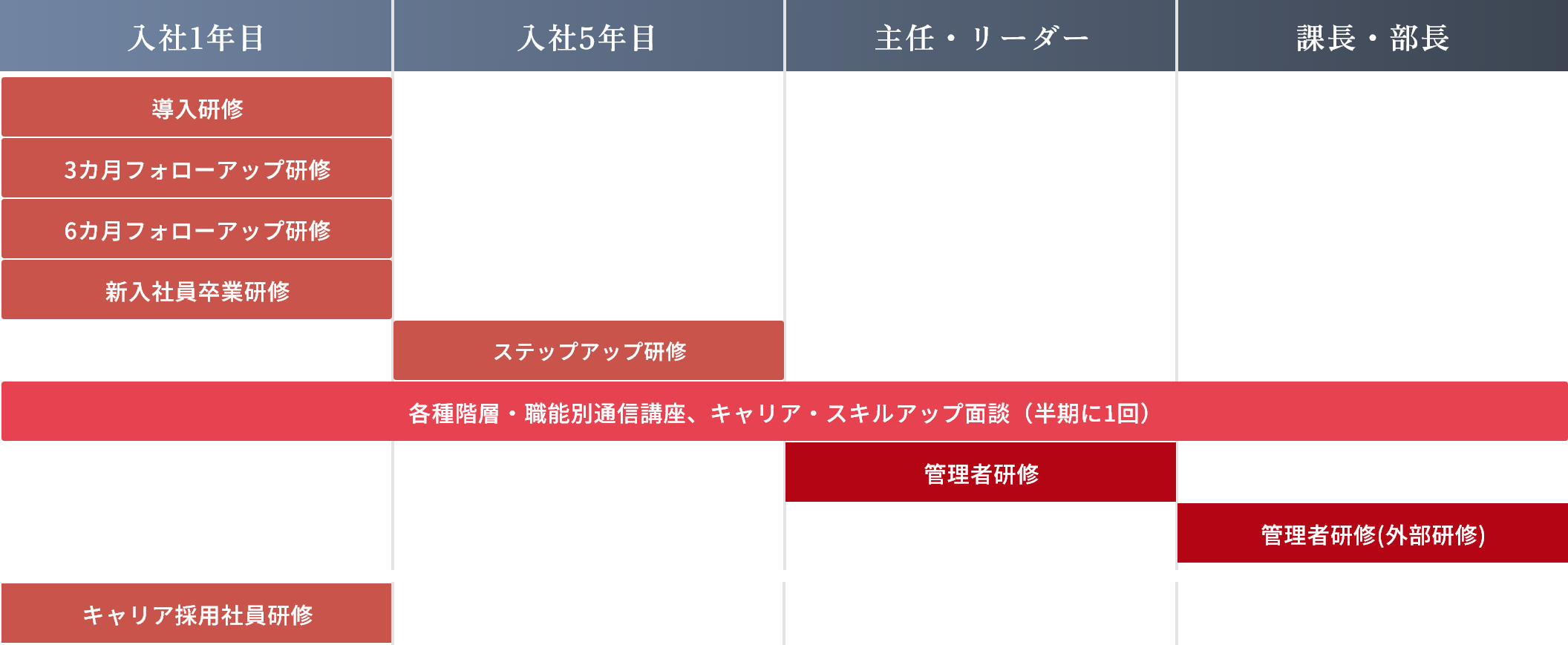 教育研修体系図。入社1年目の導入研修・フォローアップ研修から、入社5年目のステップアップ研修、主任・リーダー、課長・部長の管理者研修まで。キャリア採用社員研修も実施