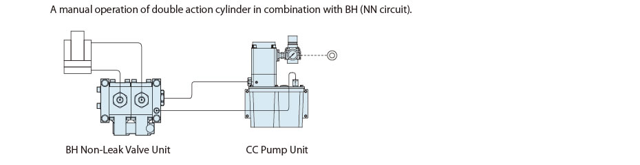 c1