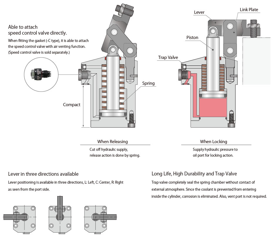 Cross-sectional Structural Drawing