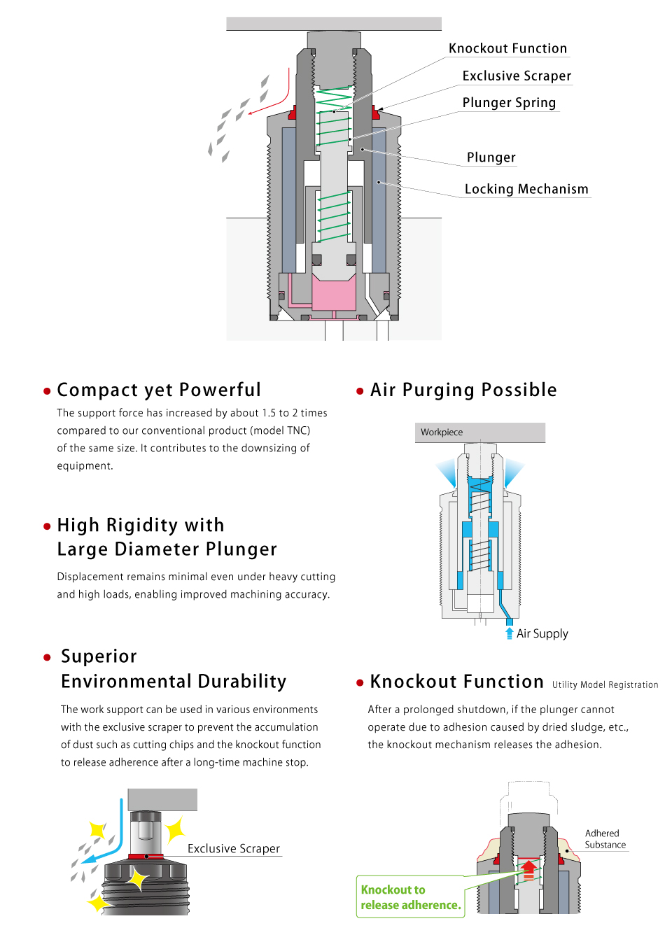 Cross-sectional Structural Drawing