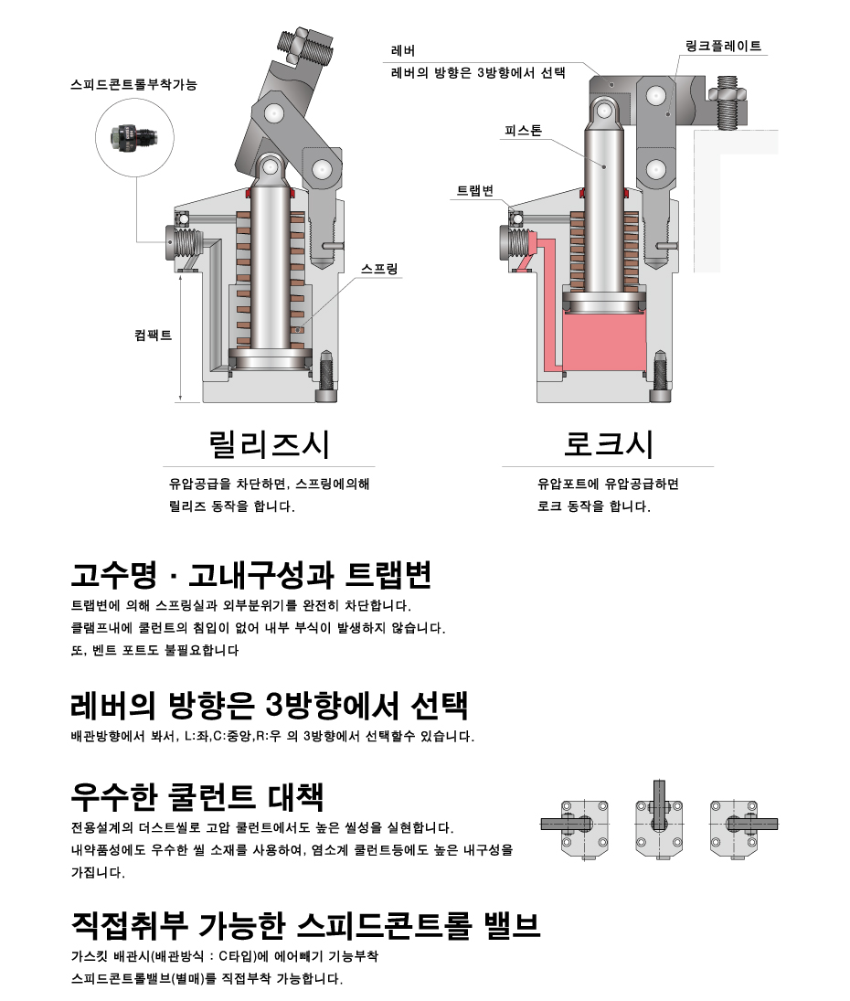 단면 구조