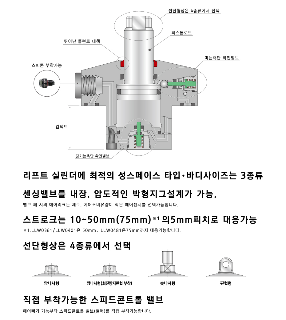 단면 구조