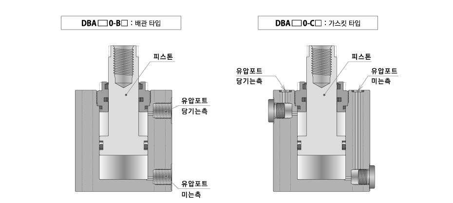 단면 구조