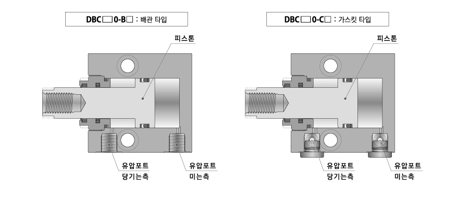 단면 구조